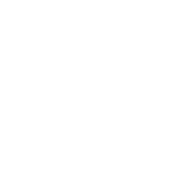 2025 in review